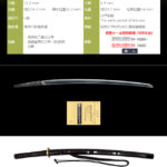 信濃大掾藤原（以下切）（二代忠國）